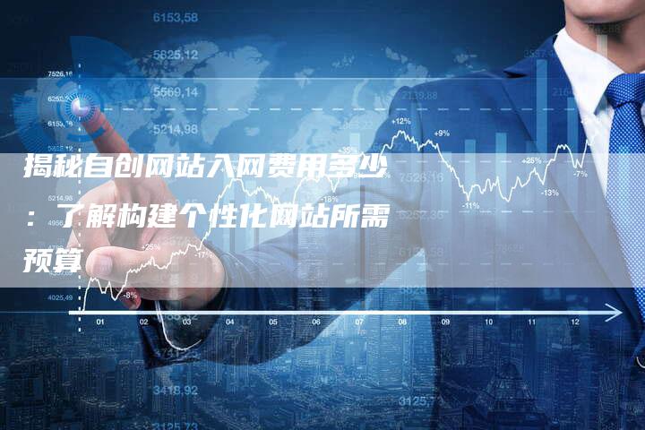 揭秘自创网站入网费用多少：了解构建个性化网站所需预算