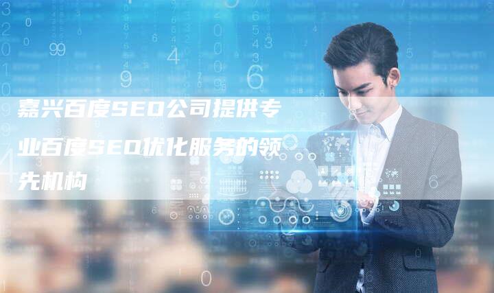 嘉兴百度SEO公司提供专业百度SEO优化服务的领先机构