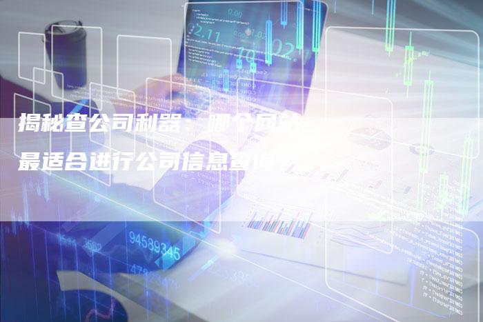 揭秘查公司利器：哪个网站最适合进行公司信息查询？