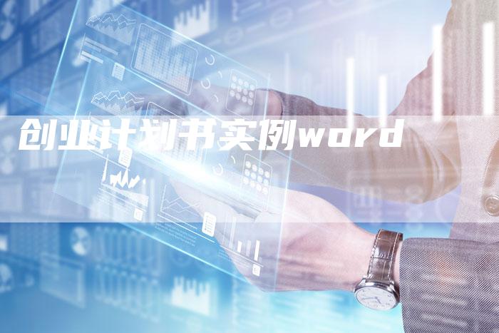 创业计划书实例word