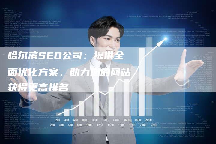 哈尔滨SEO公司：提供全面优化方案，助力您的网站获得更高排名