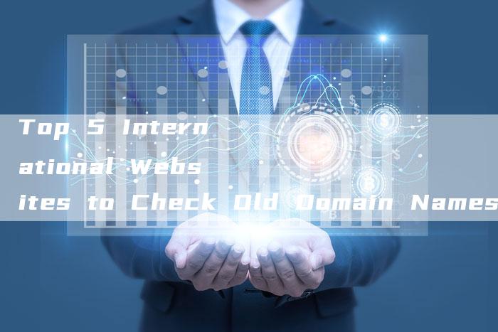 Top 5 International Websites to Check Old Domain Names