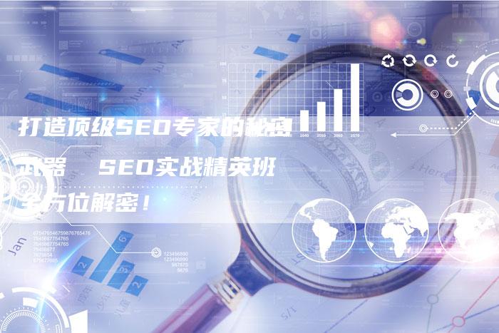 打造顶级SEO专家的秘密武器  SEO实战精英班全方位解密！