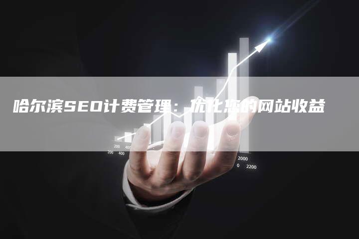 哈尔滨SEO计费管理：优化您的网站收益