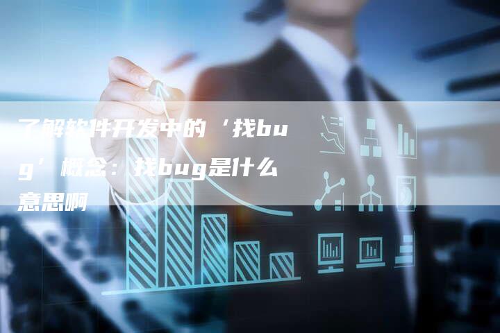 了解软件开发中的‘找bug’概念：找bug是什么意思啊