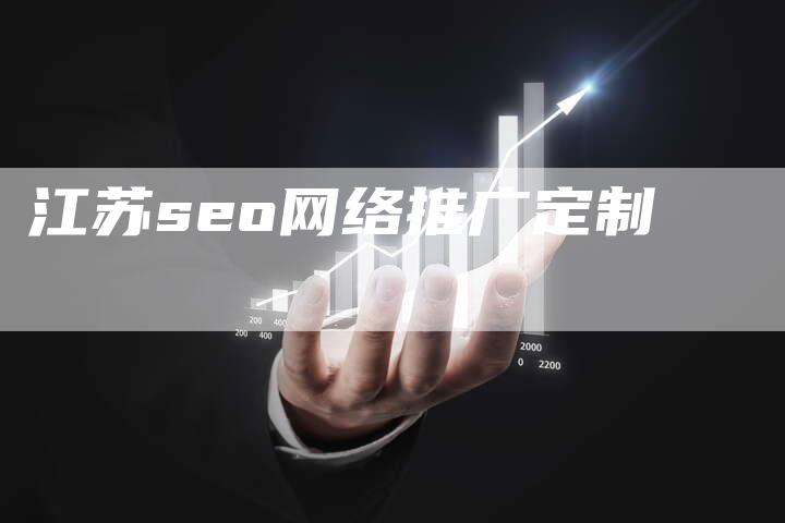 江苏seo网络推广定制