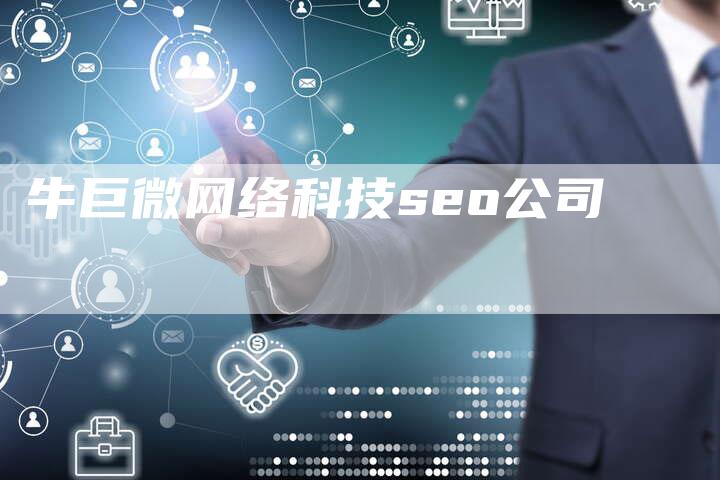 牛巨微网络科技seo公司